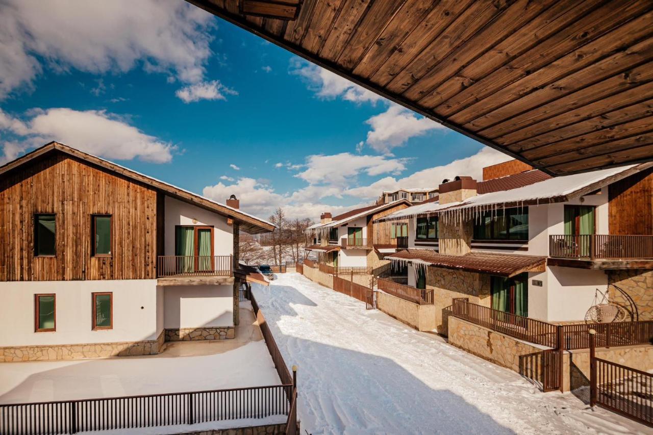 Villa In Crystal Bakuriani Kültér fotó